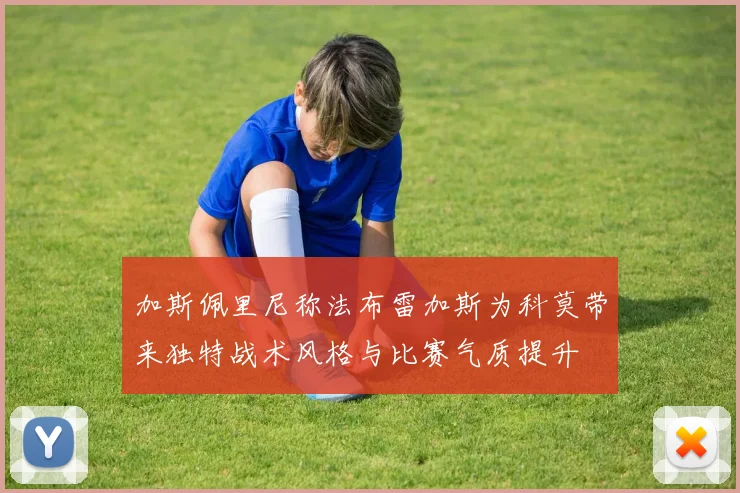 加斯佩里尼称法布雷加斯为科莫带来独特战术风格与比赛气质提升