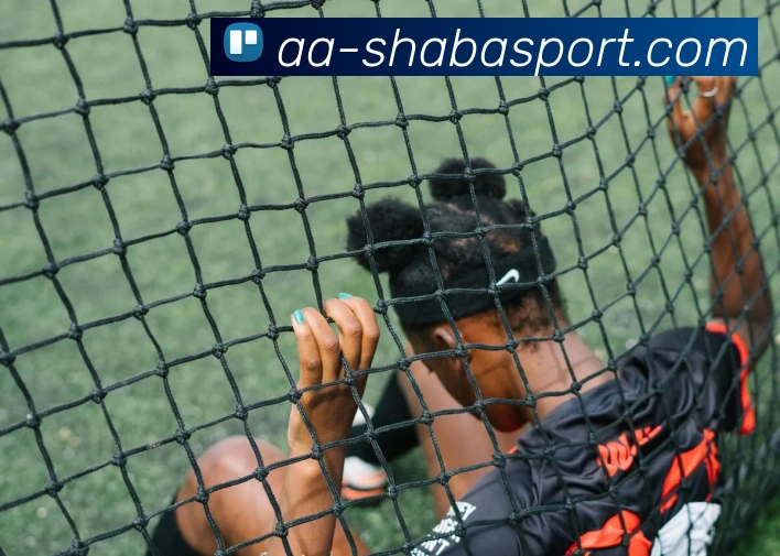 沙巴足球官网平台生态图